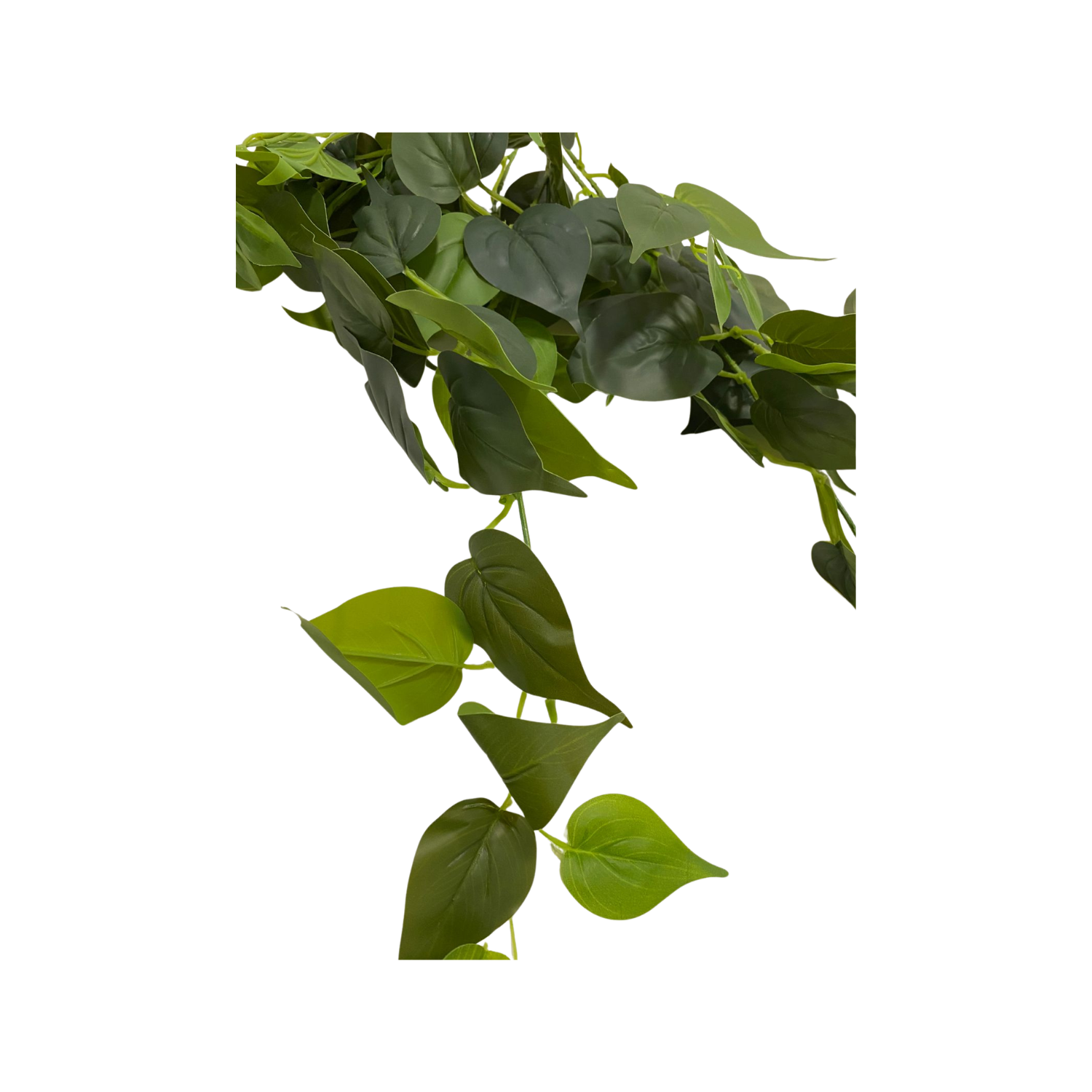 Enredadera colgante corazón 60 cm