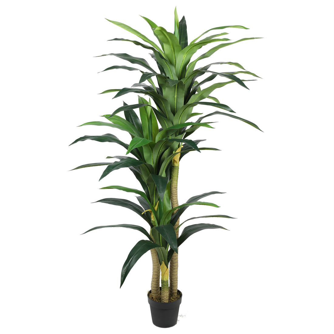 Dracena Artificial de 180 cm