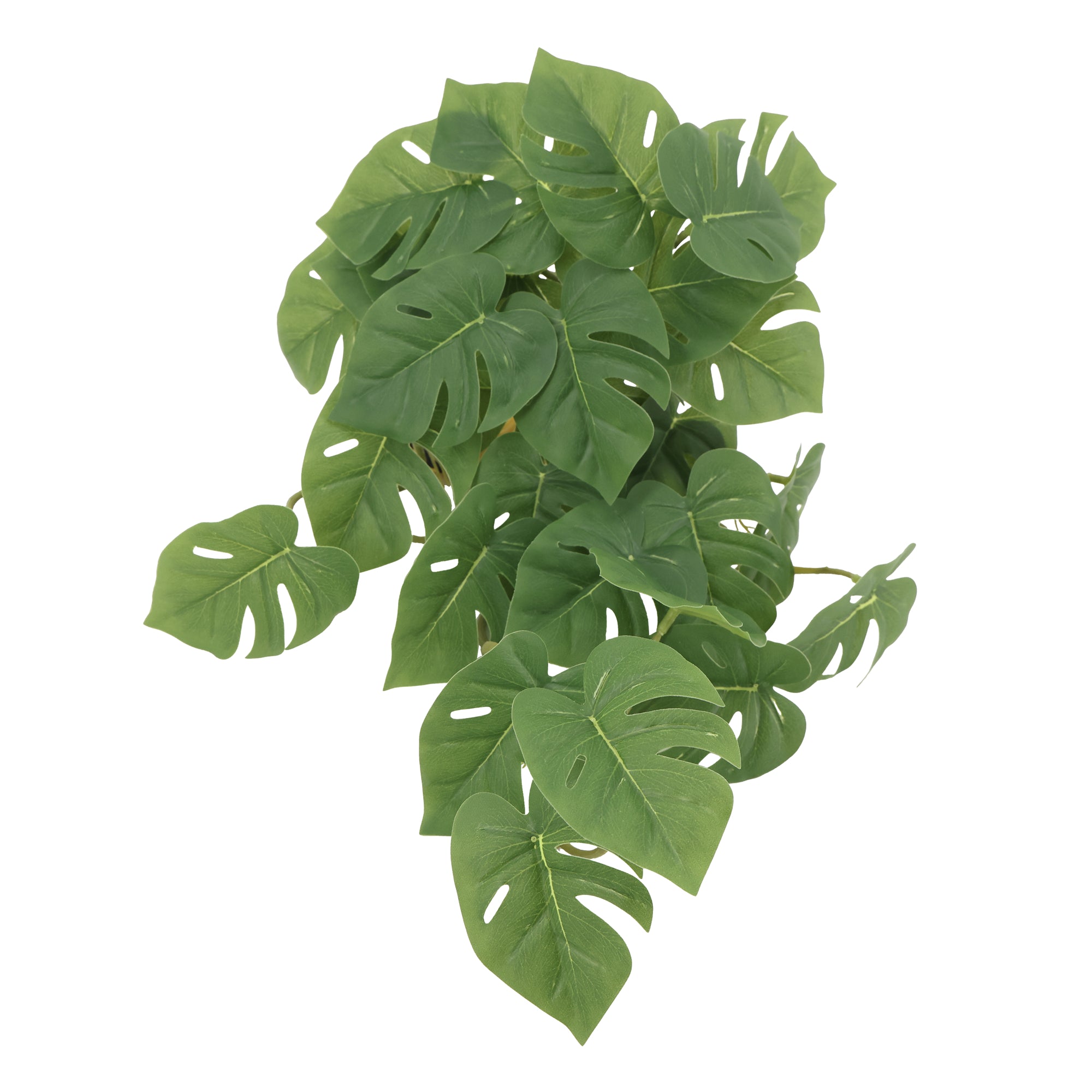 Enredadera colgante monstera 45 cm verde oscuro
