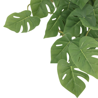 Enredadera colgante monstera 45 cm verde oscuro
