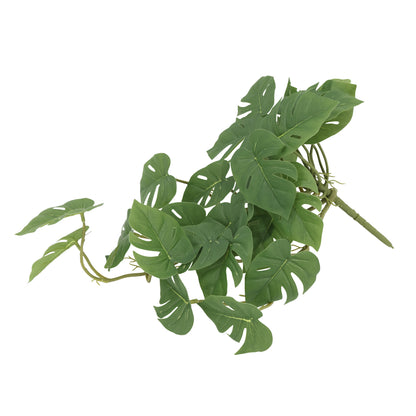 Enredadera colgante monstera 45 cm verde oscuro