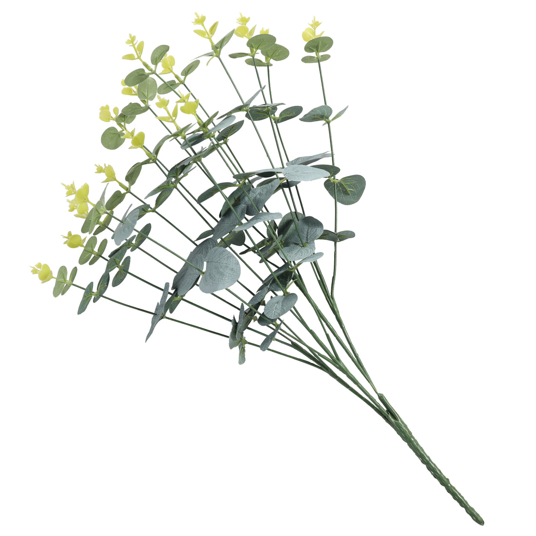 Eucalipto de 50 cm