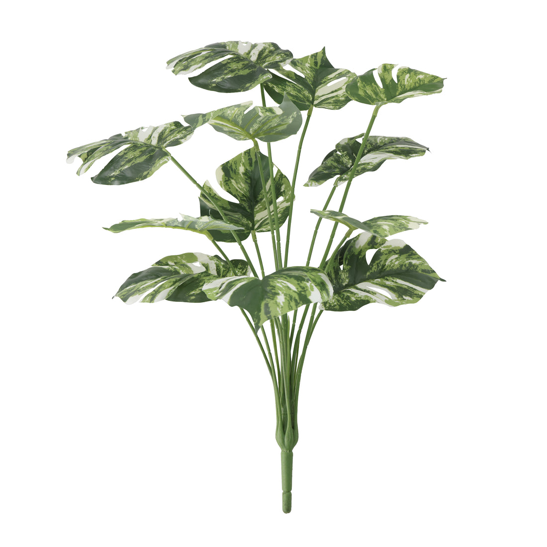 Rama Monstera 59 cm Verde/Amarilla