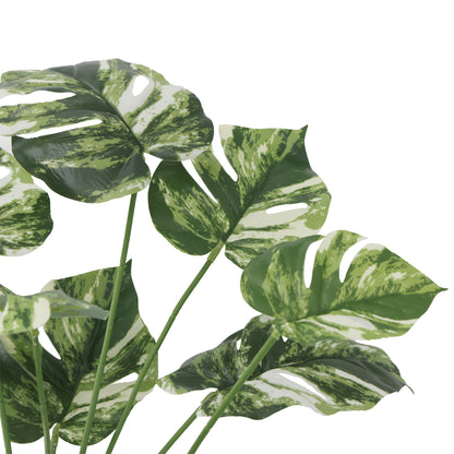 Rama Monstera 59 cm Verde/Amarilla