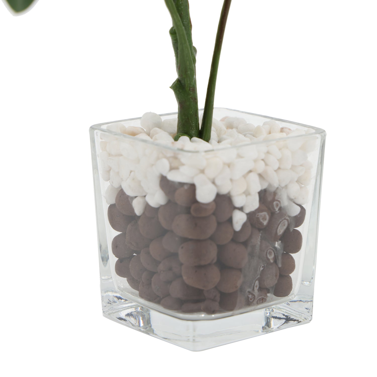 Mini filodendro artificial de 26 cm con macetero de vidrio