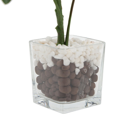 Mini filodendro artificial de 26 cm con macetero de vidrio