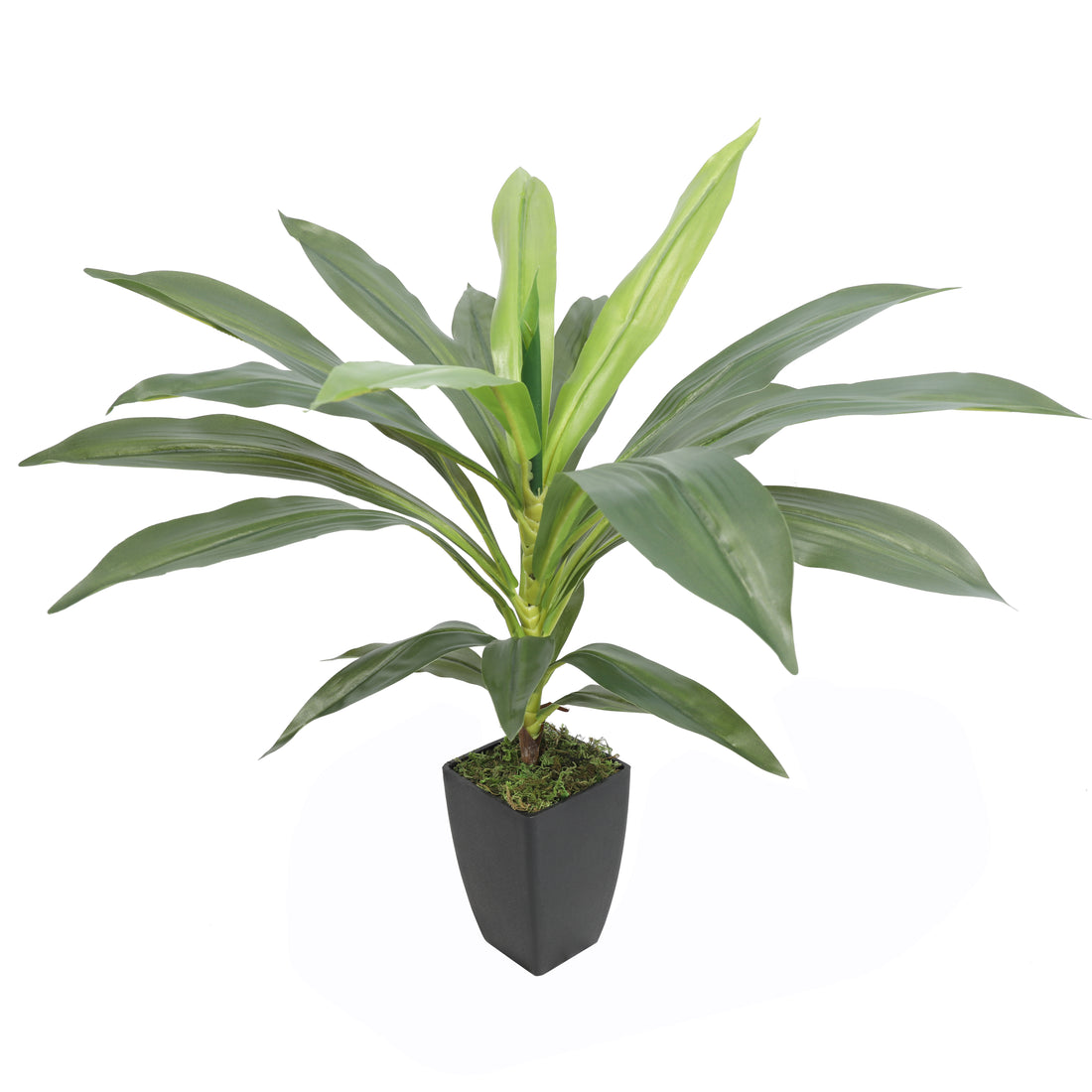 Dracena Artificial de 55 cm, 22 hojas