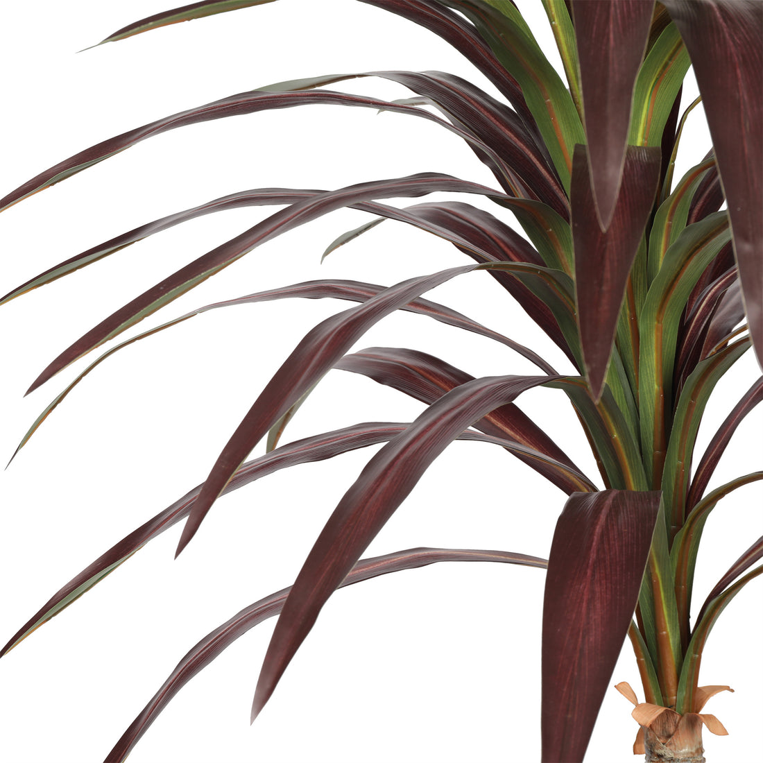 Cordyline Artificial de 210 cm