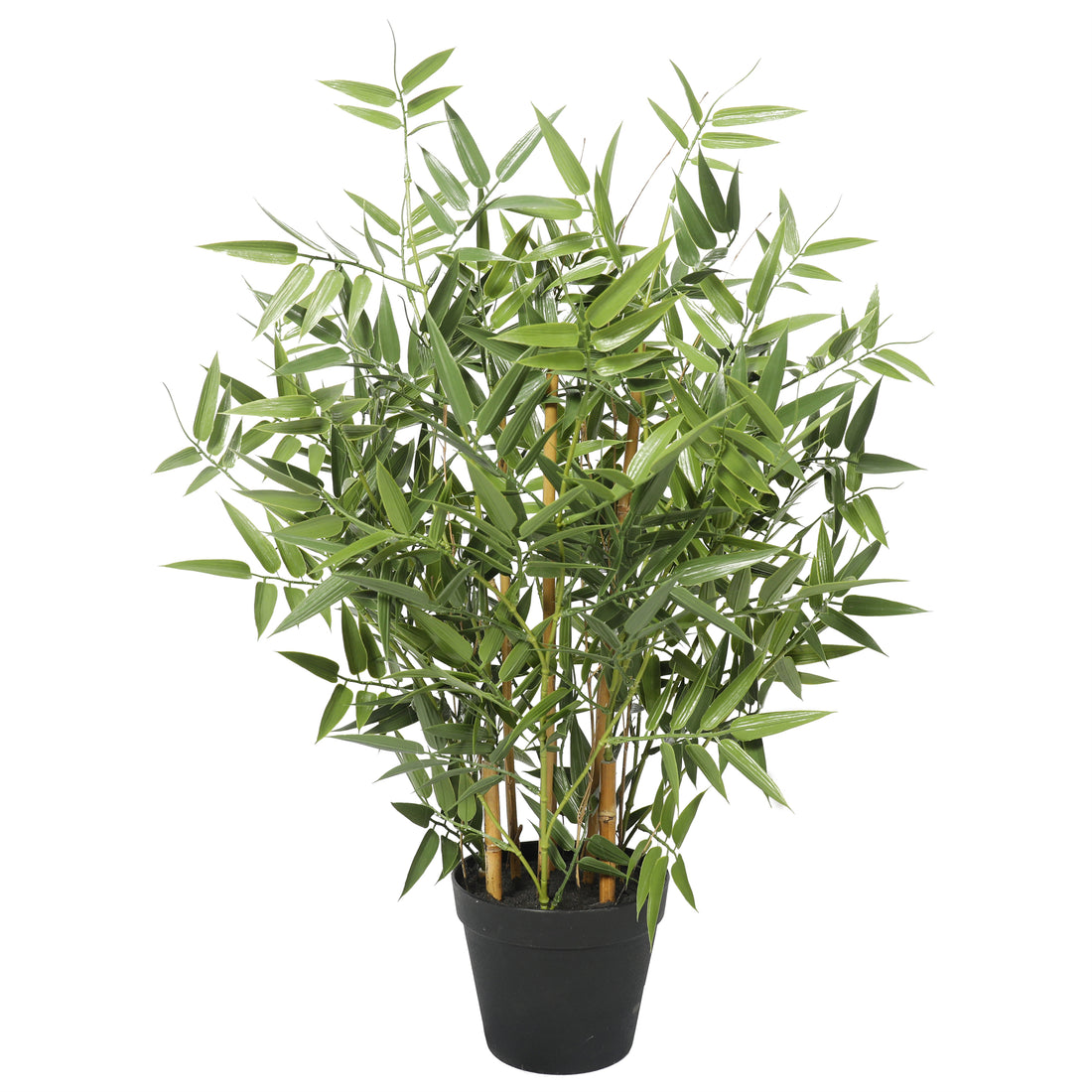 Bamboo premium 60 cm con protección UV