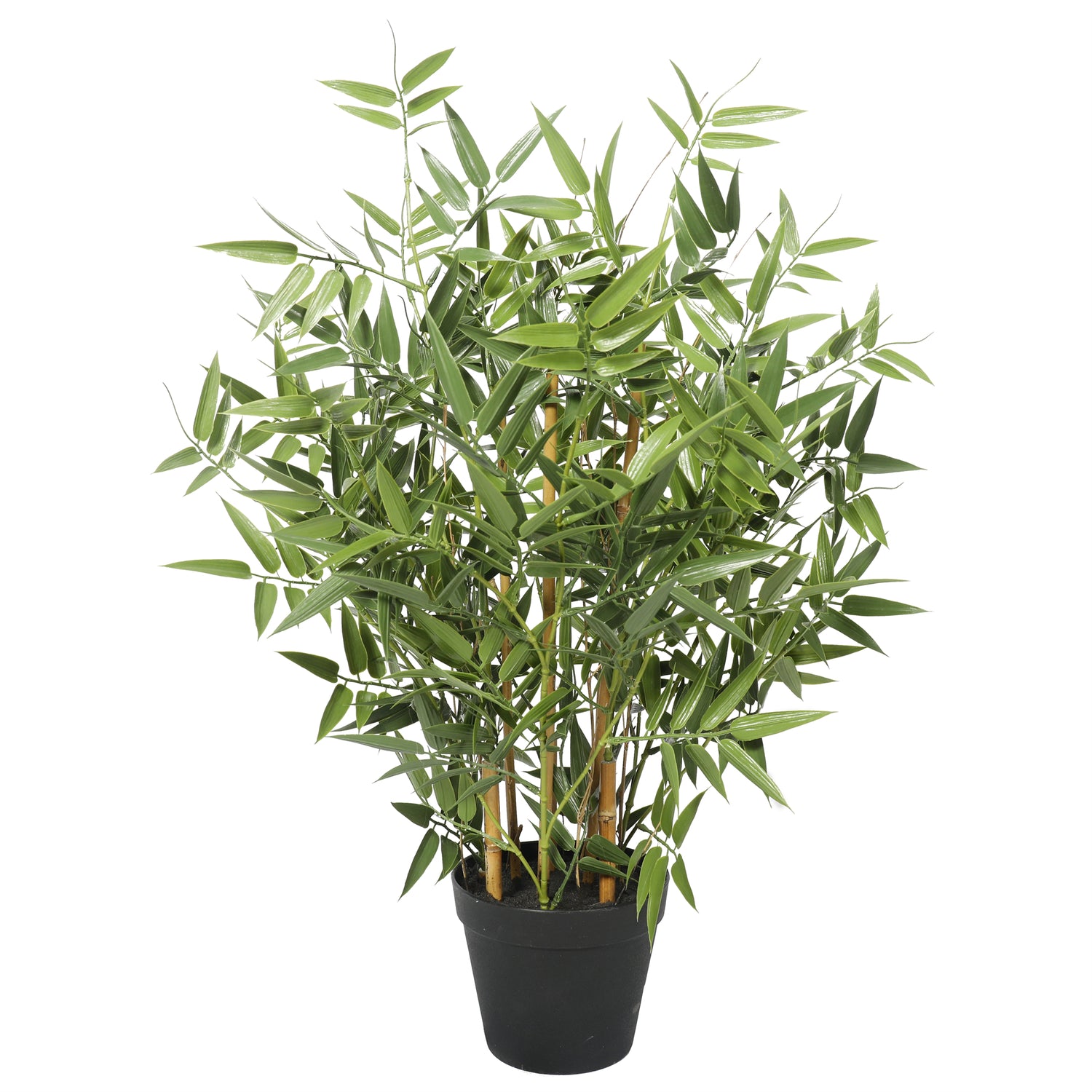 Bamboo premium 60 cm con protección UV