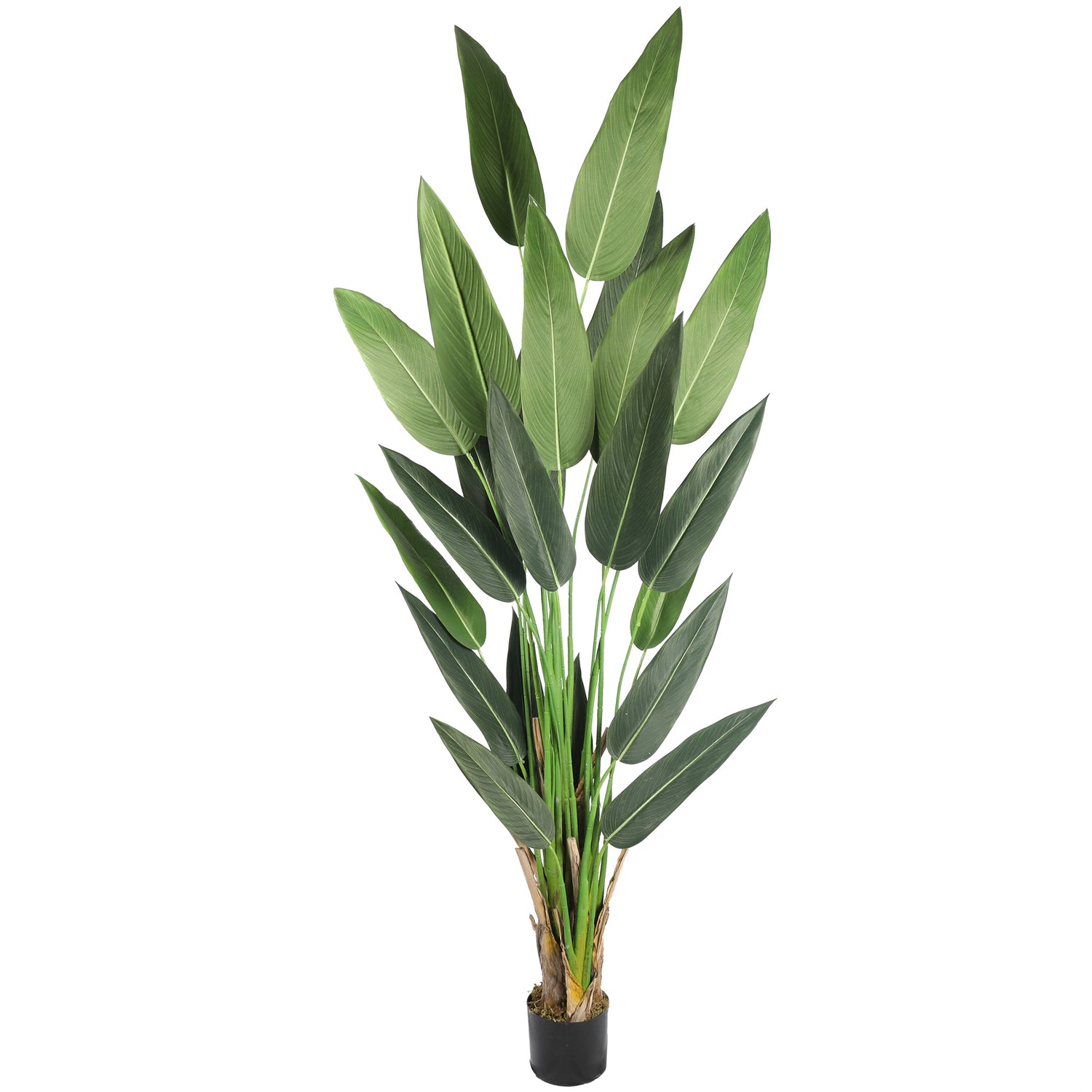 Bird of paradise artificial de 205 cm