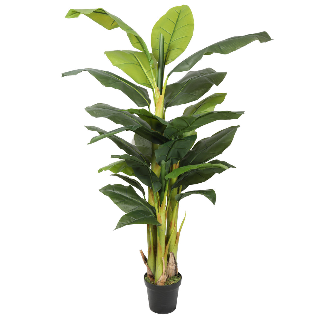 Banano Artificial de 180 cm, 5 Tallos y 22 Hojas