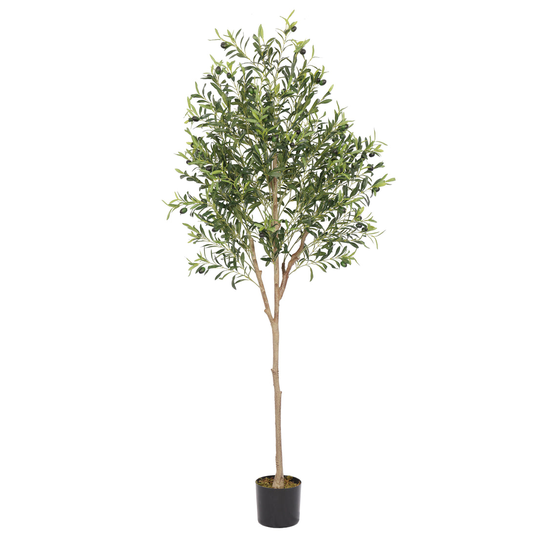Olivo premium 180 cm con prtotección UV, 1836 hojas