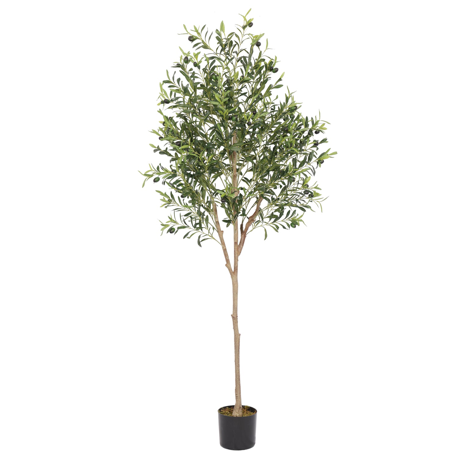 Olivo premium 180 cm con prtotección UV, 1836 hojas
